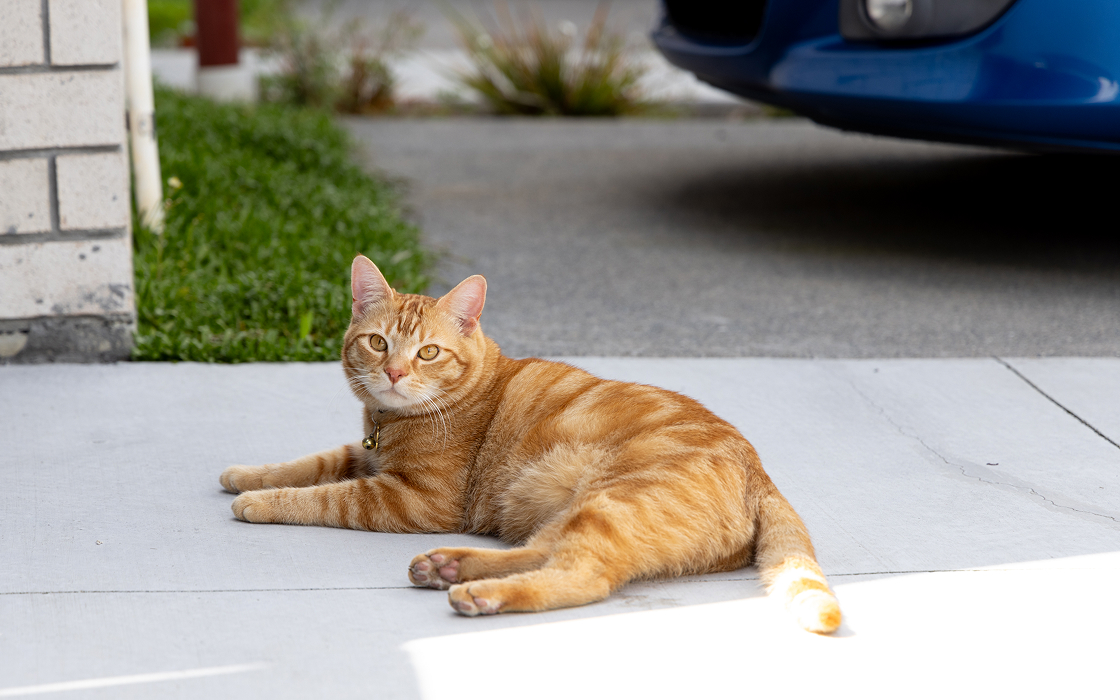 TheSouthside_image-3_1120x700